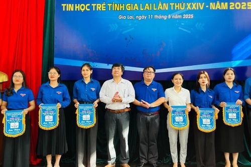 234 thí sinh tham gia Hội thi Tin học trẻ tỉnh Gia Lai lần thứ XXIV