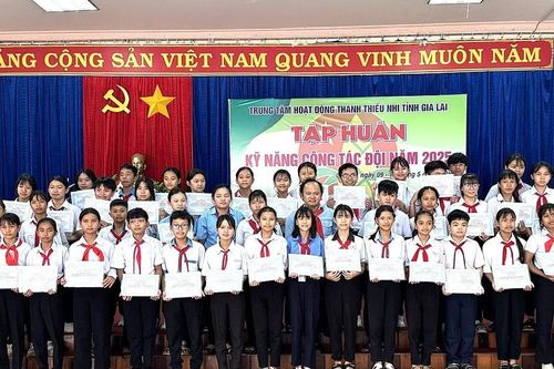 Tập huấn kỹ năng cho 46 cán bộ chỉ huy Đội