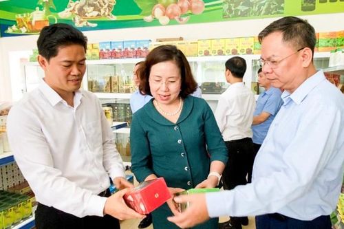 Lai Châu chuẩn bị tổ chức sự kiện 'Thúc đẩy liên kết vùng trong phát triển thương mại điện tử'