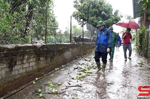 Yên Châu: Nhiều hộ dân bị thiệt hại do mưa lớn, gió lốc