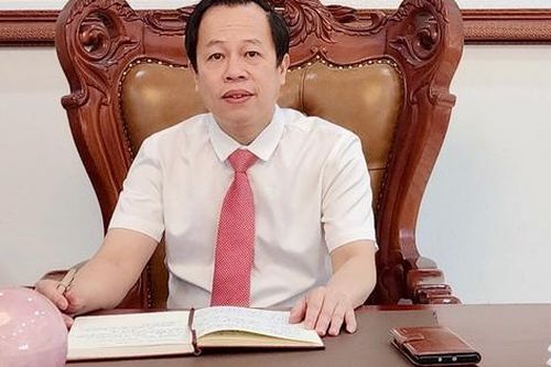 Trung tâm phát triển nông, lâm nghiệp Vĩnh Phúc tăng cường bảo vệ, phát triển rừng
