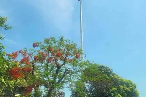 Hà Tĩnh: Đề nghị rà soát, báo cáo vụ doanh nghiệp xây trạm tín hiệu không phép