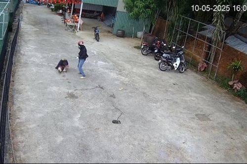 Truy tìm đối tượng chích điện tấn công nhiều người ở Phú Quốc