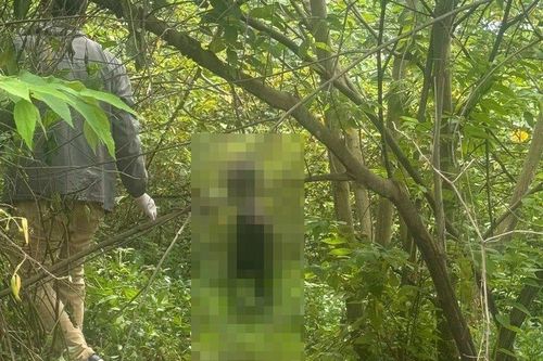 Phát hiện thi thể thanh niên 29 tuổi trong khu đất bỏ hoang ở Bình Định: Người thân tiết lộ chi tiết đau xót