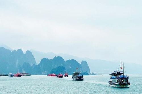 Vịnh Bái Tử Long:Điểm đến mới cho du lịch hạng sang