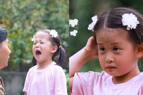 Tập 1 'Bố Ơi! Mình Đi Đâu Thế?' gây tranh cãi: MinHee khóc vì hộp quà toàn dế