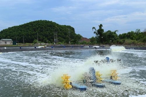 Đưa khoa học công nghệ vào sản xuất nông nghiệp: Còn nhiều thách thức