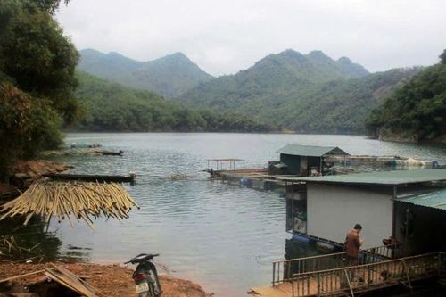 Hiệu quả từ mô hình nuôi cá lồng