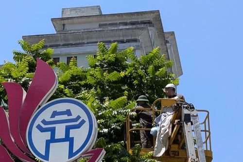 Hà Nội cắt tỉa cây xanh trước mùa mưa bão
