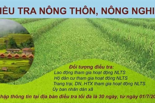 Hà Nội ra quân Tổng điểu tra nông thôn, nông nghiệp từ ngày 1/7/2025