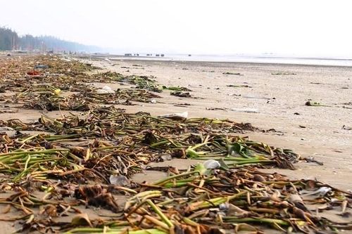 Bờ biển ngập rác, 'mất điểm' mùa du lịch