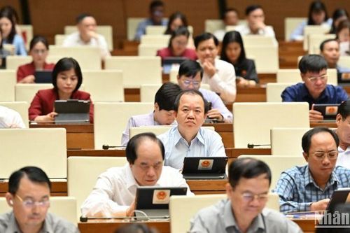 Đại biểu Quốc hội lo ngại tình trạng doanh nghiệp cố tình báo lỗ để trốn thuế