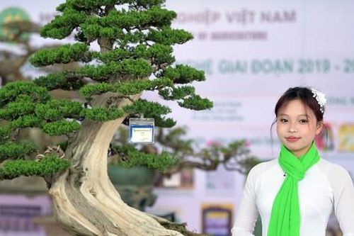 Học viện Nông nghiệp Việt Nam đưa hoa cây cảnh lên sàn đấu giá điện tử