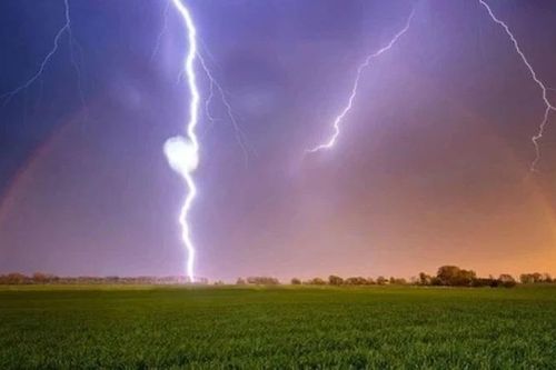 Người đàn ông ở Bình Định bị sét đánh tử vong ngoài đồng