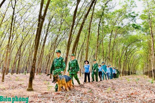 BĐBP vì đất nước bình yên, vì biên cương giàu mạnh