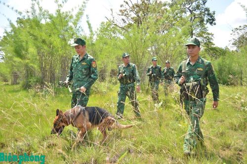 Từ ấy biên cương liền một dải (kỳ 2)