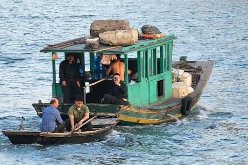 TP Hạ Long (Quảng Ninh) vây bắt khỉ hung hăng xuống phố