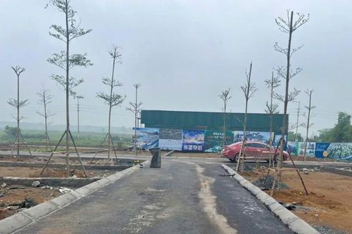Giá đất cuối ga Metro Hòa Lạc bị 'thổi' mạnh: Lướt sóng kiếm lời hóa vỡ mộng