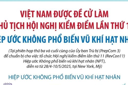 Việt Nam được đề cử làm Chủ tịch Hội nghị kiểm điểm lần thứ 11 của NPT