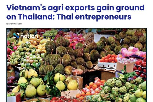 Báo Thái Lan: Nông sản nước này sẽ sớm bị Việt Nam vượt mặt