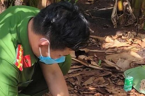 Điều tra vụ thi thể trẻ sơ sinh trong vườn chuối tại Bà Rịa - Vũng Tàu