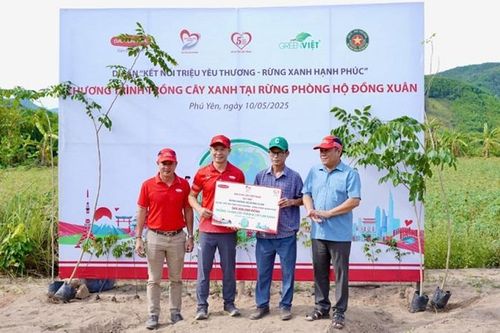 Phú Yên: Trồng hơn 10.000 cây xanh tại rừng phòng hộ Đồng Xuân