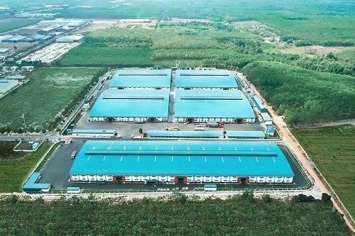 Gỗ An Cường ứng phó thuế quan Mỹ