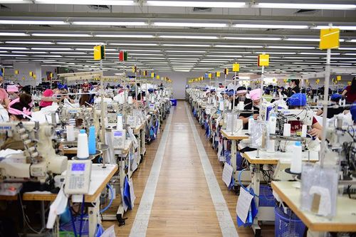 Công ty TNHH Sakurai Việt Nam: Hành trình vững bước vươn xa, nâng tầm giá trị Việt
