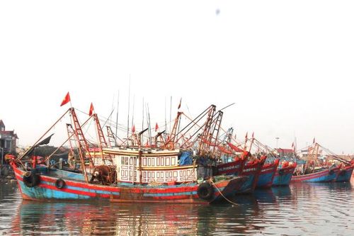 Động viên ngư dân bám biển sản xuất bình thường trong phạm vi vùng biển của Việt Nam