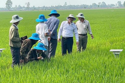 Châu Phú phấn đấu hoàn thành kế hoạch quý II