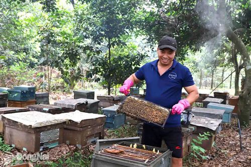 Người nuôi ong đầu tư cho chất lượng để giữ thị trường
