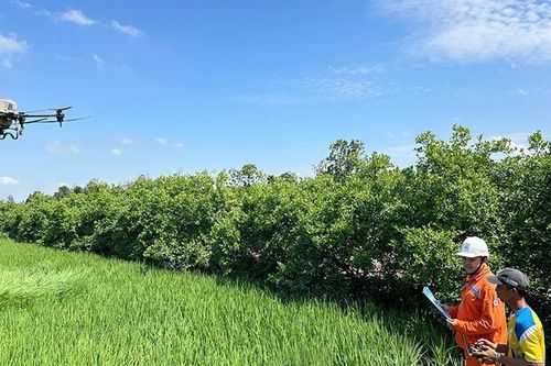 Thực hiện đạt các chỉ tiêu về chuyển đổi số ngành nông nghiệp