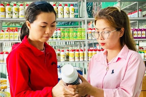 Tăng cường kiểm soát phân bón, thuốc bảo vệ thực vật
