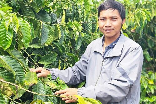 Ông Ning-Trưởng thôn '2 giỏi'