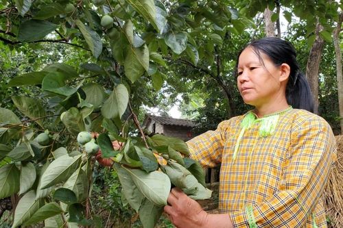 Cao Lộc giảm nghèo bền vững