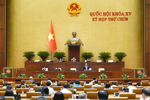 ĐBQH Lâm Đồng Trịnh Thị Tú Anh: Kiến nghị sửa quy định thuế để phù hợp chuyển đổi số và đổi mới sáng tạo