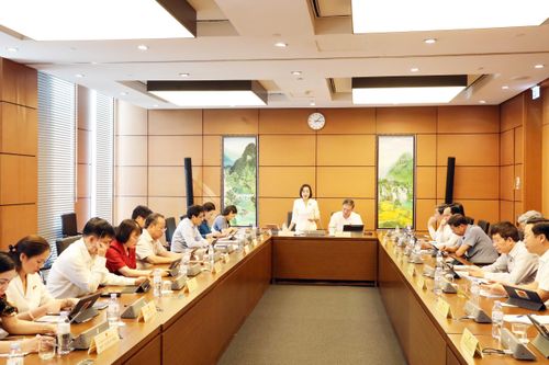 Kỳ họp thứ 9, Quốc hội khóa XV: Đại biểu Quốc hội tỉnh thảo luận về một số Dự án Luật