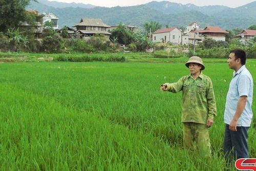 Người có uy tín vận động nhân dân làm giàu