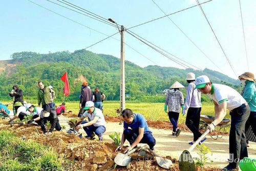 Thêm 9 xã đạt chuẩn NTM, NTM nâng cao, NTM kiểu mẫu