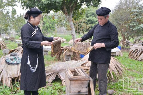 Người cất mật ngọt trên đất Hợp Thành