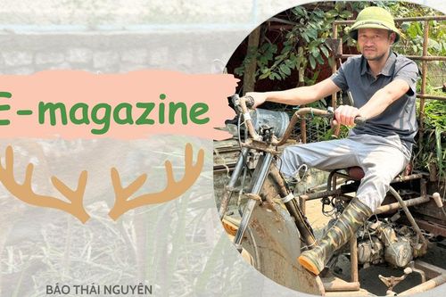 Nuôi hươu lấy nhung - Hành trình vượt dốc của 'Kiên phụ hồ'