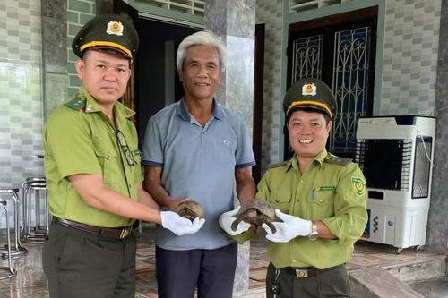 Tiếp nhận 4 cá thể động vật hoang dã quý hiếm