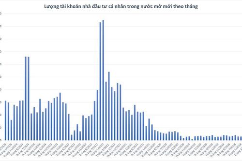 Việt Nam sắp cán mốc 10 triệu tài khoản chứng khoán