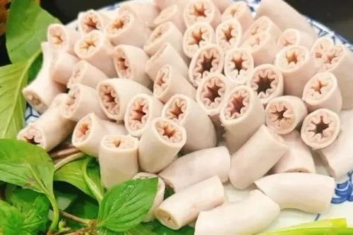 Lòng xe điếu hình thành ở lợn mắc bệnh đường ruột