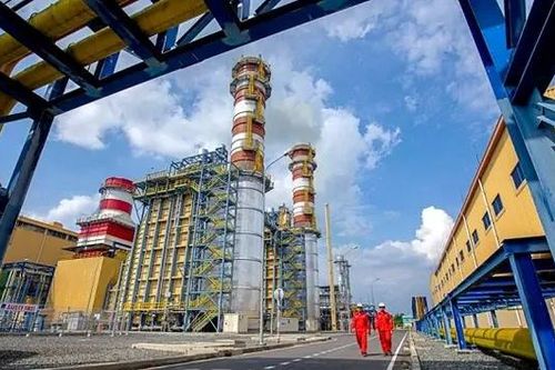 Cổ phiếu AFX xuống thấp, lãnh đạo liên tục mua gom