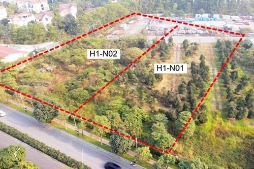 Hà Nội: Giao hơn 10.000m² đất tại Long Biên cho chủ đầu tư xây dựng nhà ở biệt thự