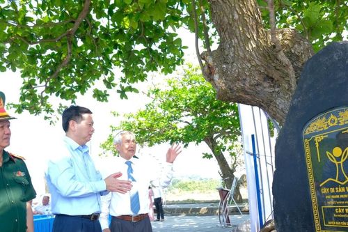 Di sản ' xanh' trên đảo tiền tiêu Cồn Cỏ
