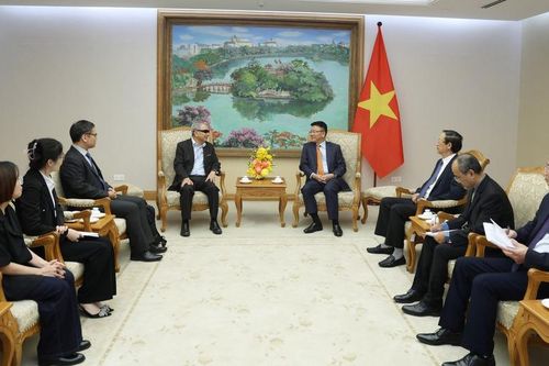 VNF mong muốn lan tỏa tinh thần tự học cho học sinh Việt Nam