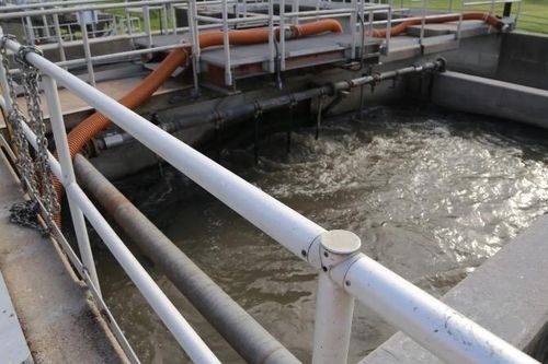 Mỹ: Giám sát nước thải phát hiện virus sởi trước khi ghi nhận ca bệnh