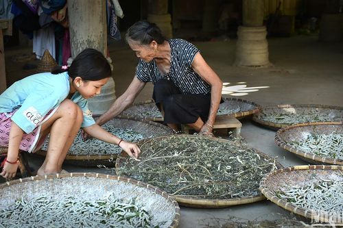 Bền bỉ nghề tằm tang ở miền xanh Hoa Tiến